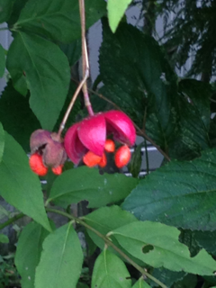 image-20130916111317.png