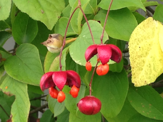 image-20130916111330.png